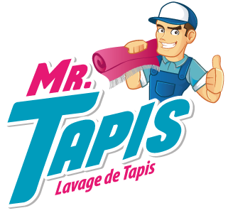 Mr Tapis